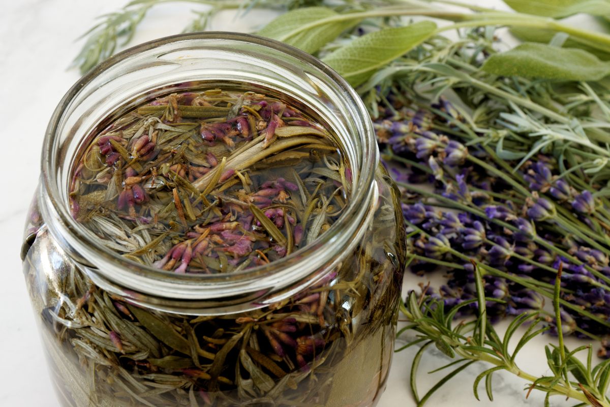 a mix of herbs added to vinegar.jpg
