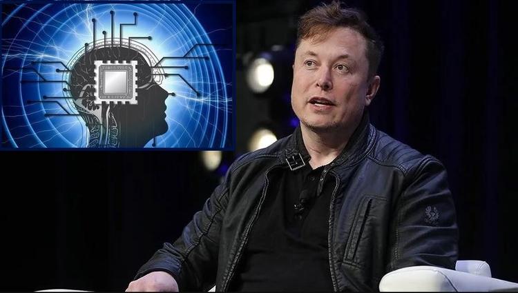elon-musk3244.jpeg