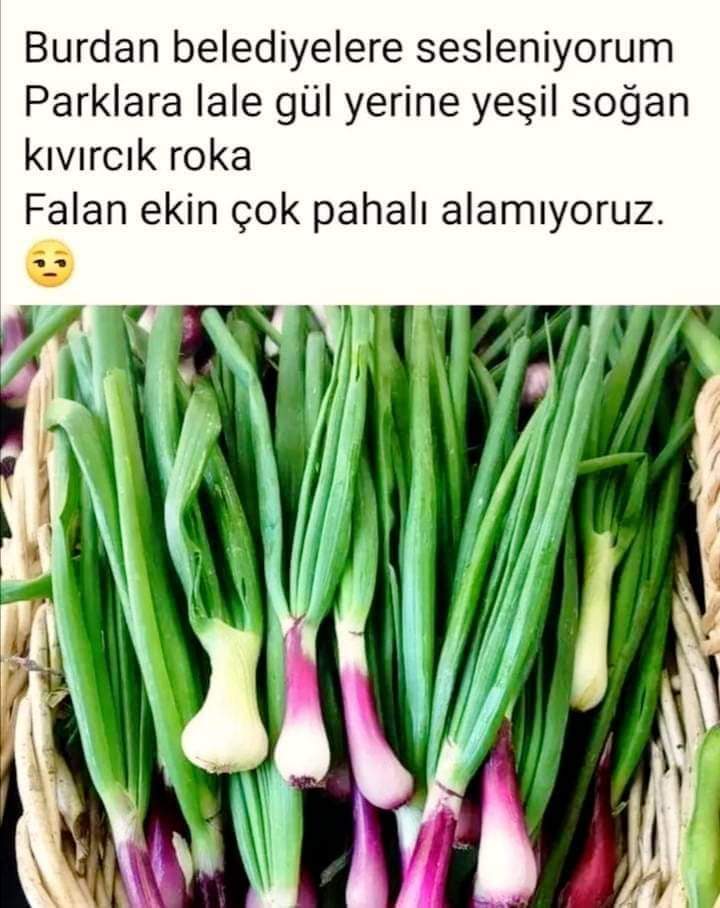 FB_IMG_1706447757449.jpg