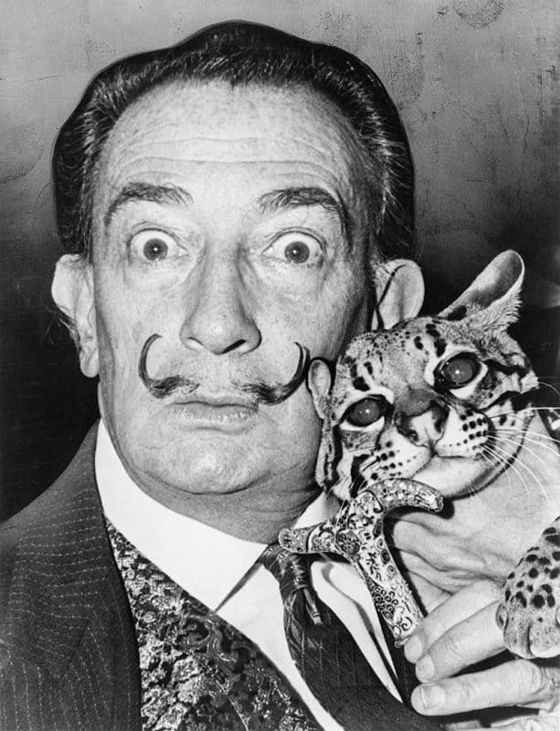 salvador-dali-ocelot-613x800 (1).jpg