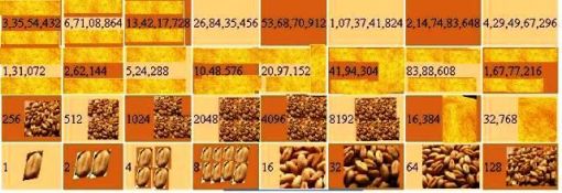 satranc-bugday-matematikkafe.jpg